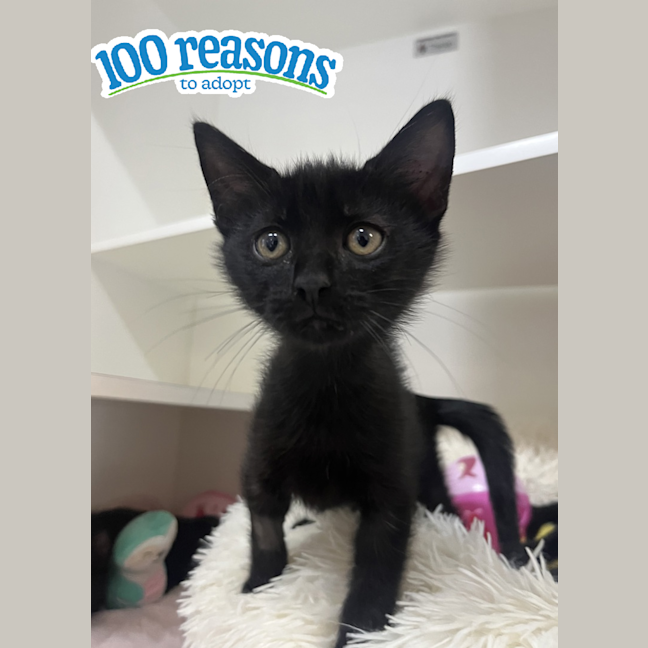 Photo of Jinx