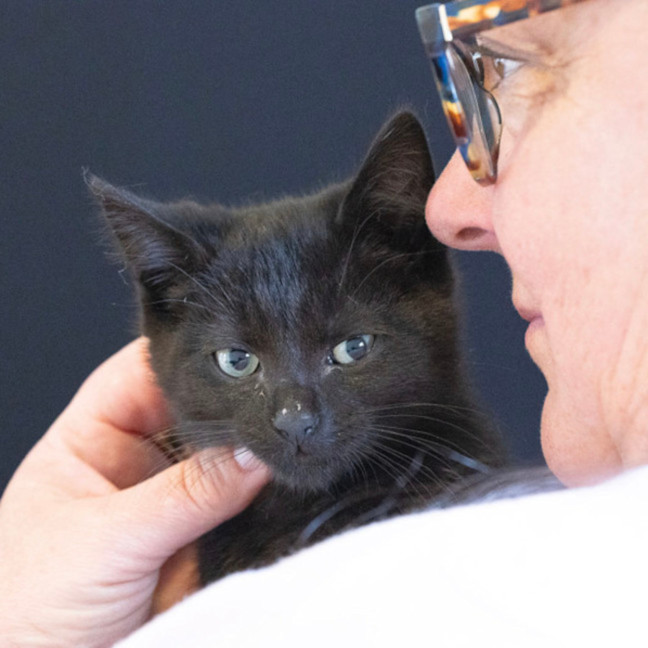 Photo of Blackie