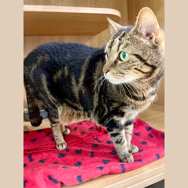 Photo of River And Tyra