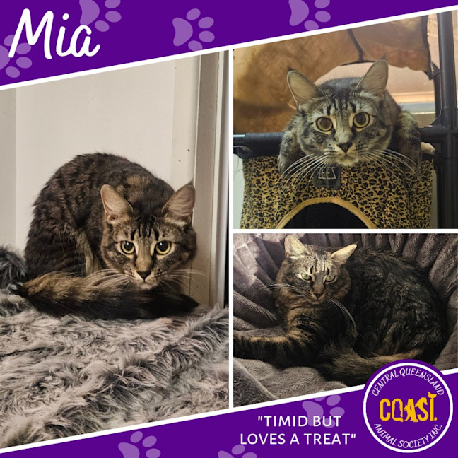 Photo of Mia