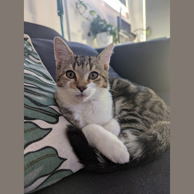 Photo of Dottie Golden