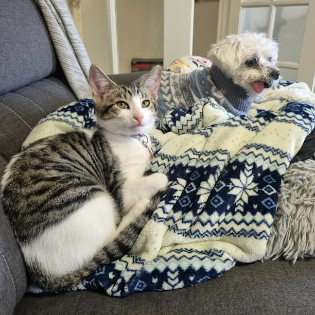 Photo of Rocket