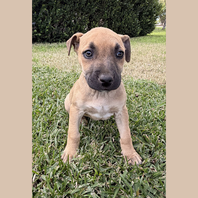 Photo of Lucy