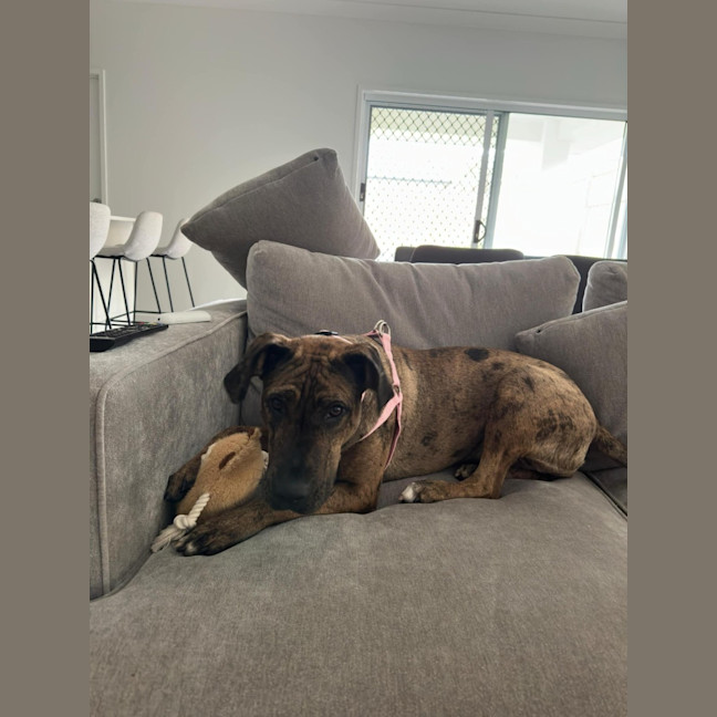 Photo of Lucy