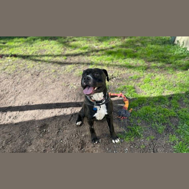 Photo of Timothy