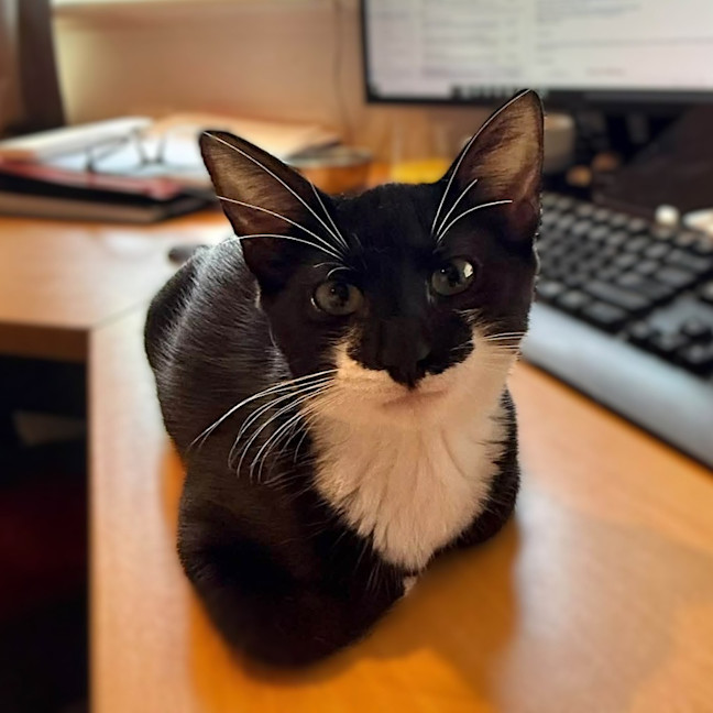 Photo of Henny