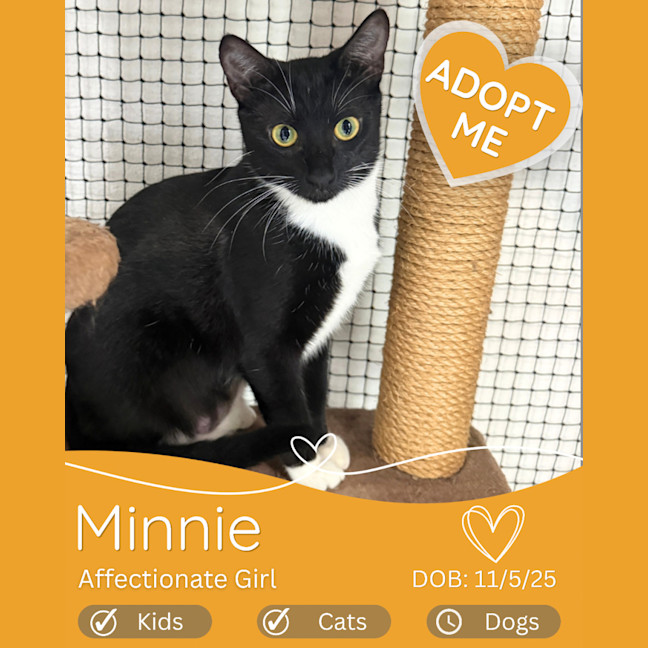 Photo of Minnie