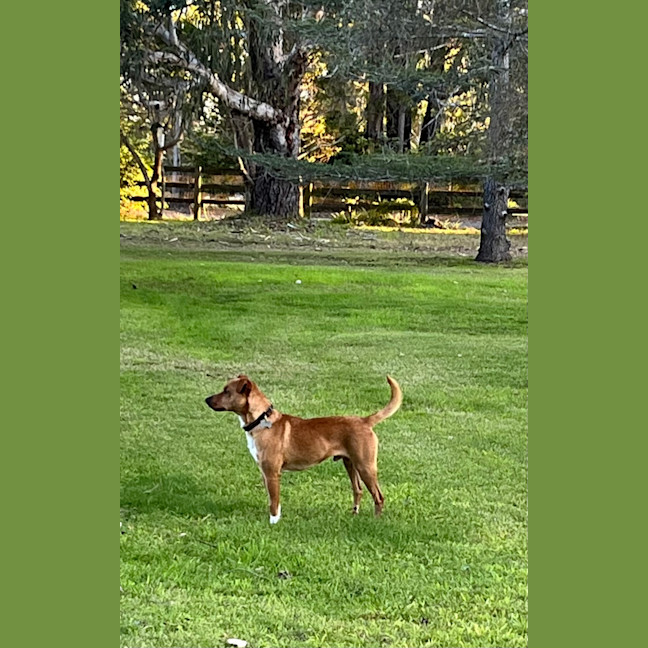 Photo of Diggie Smalls