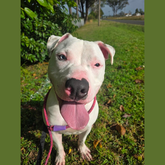 Photo of Bingo