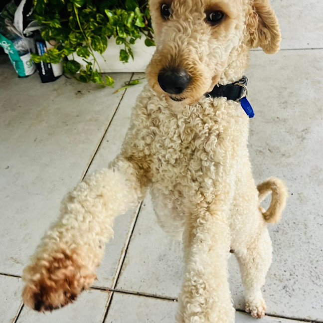 Photo of Mo