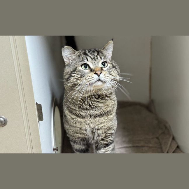 Photo of Puffy