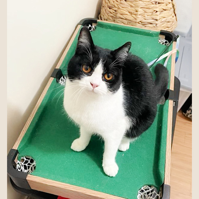 Photo of 🍀Blanaid🍀