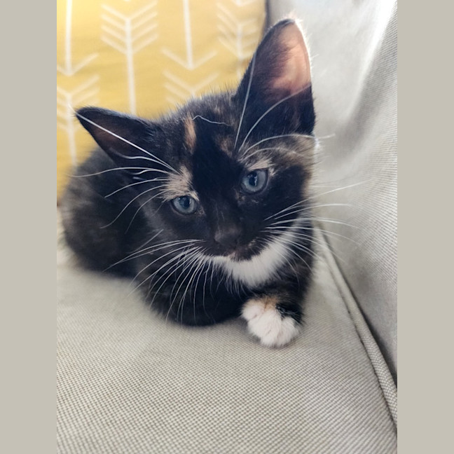 Photo of Little Miss