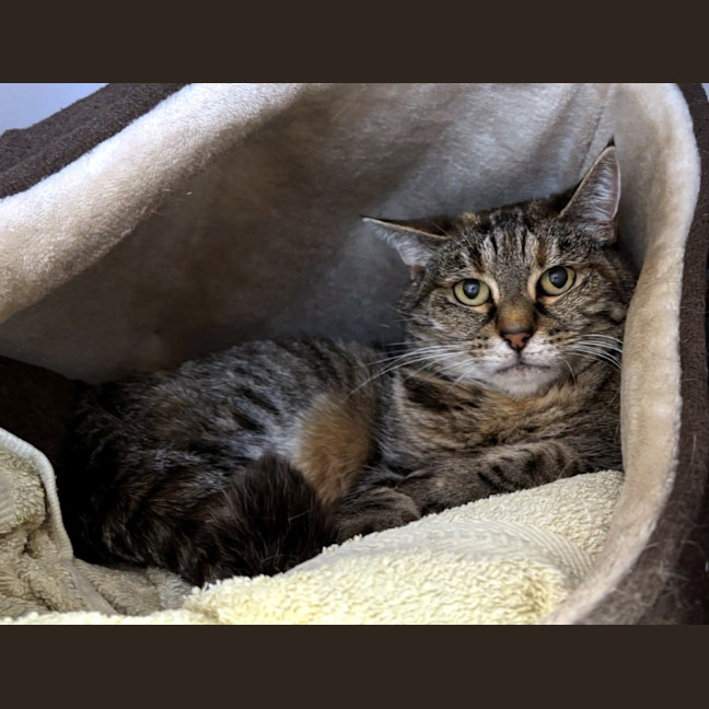 Photo of Tilly Sua013231