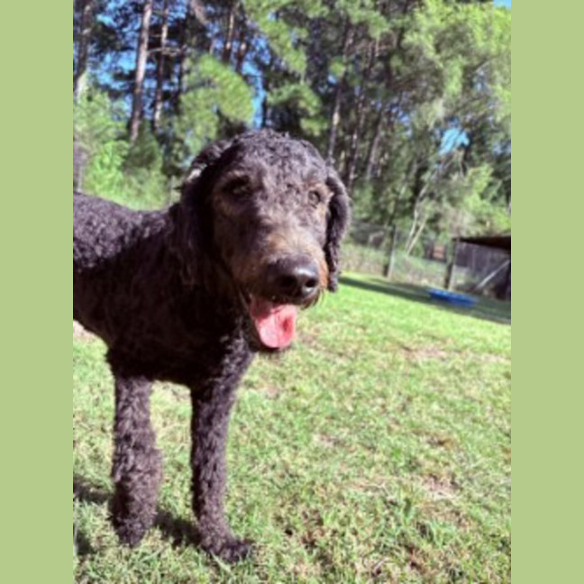 Photo of Ellie