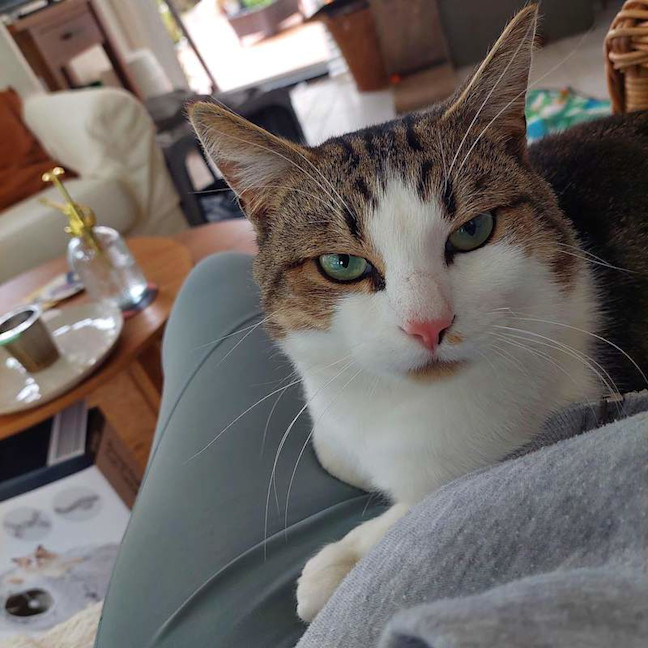 Photo of Bub