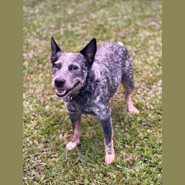 Photo of Bo 
