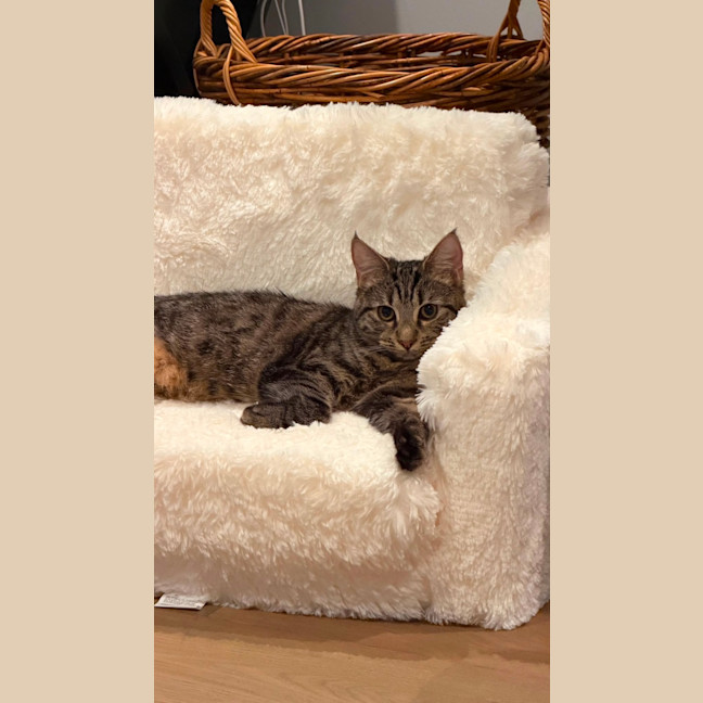 Photo of Zadie