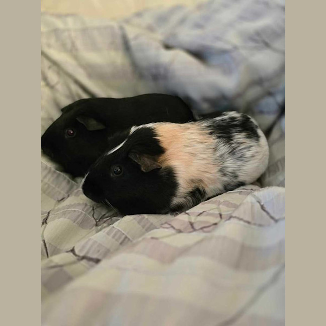 Photo of Marco & Polo