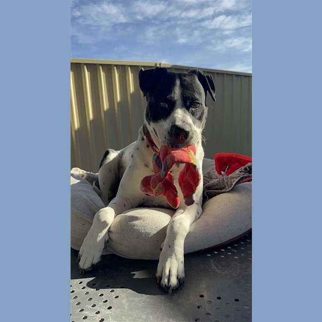 Photo of Penelope