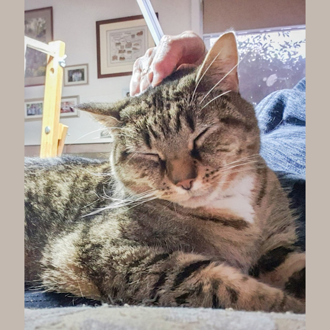 Photo of Mooi