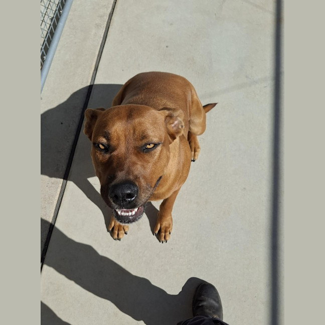 Photo of Bella 62/2026