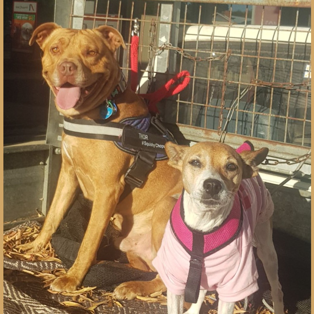 Photo of Ruby Tuesday