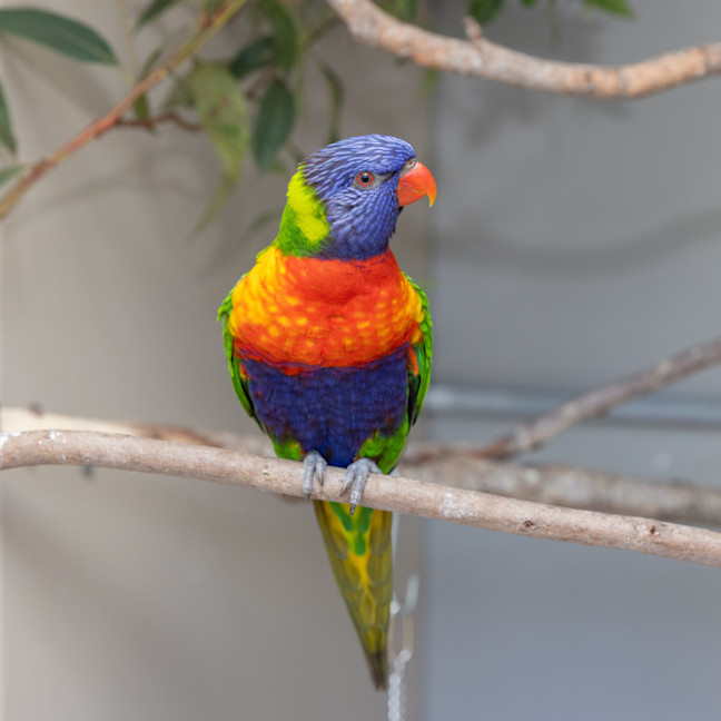 Photo of Lorri