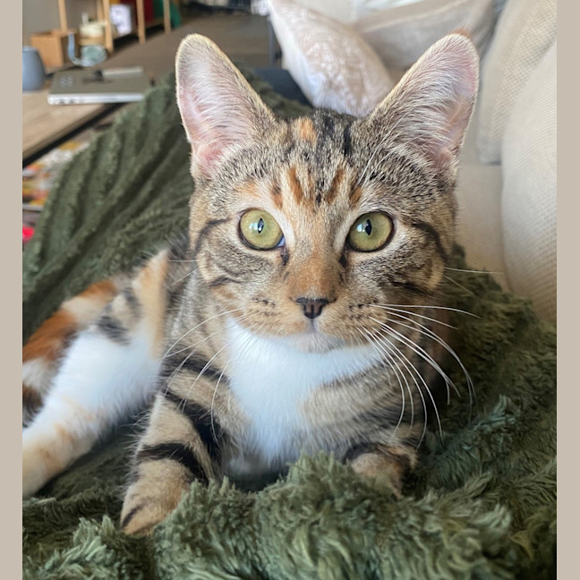 Photo of Thelma