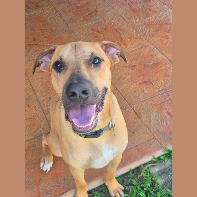 Photo of Zuko