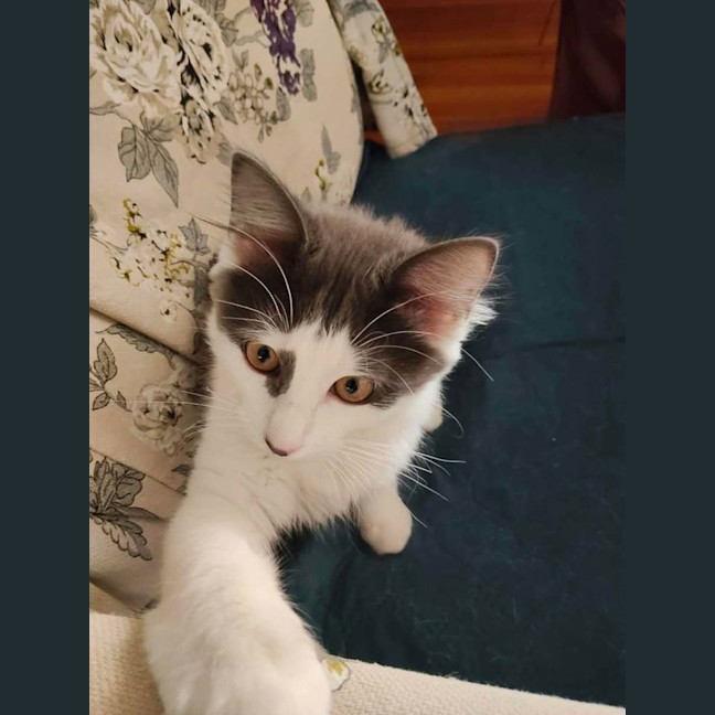 Photo of Gus Gus