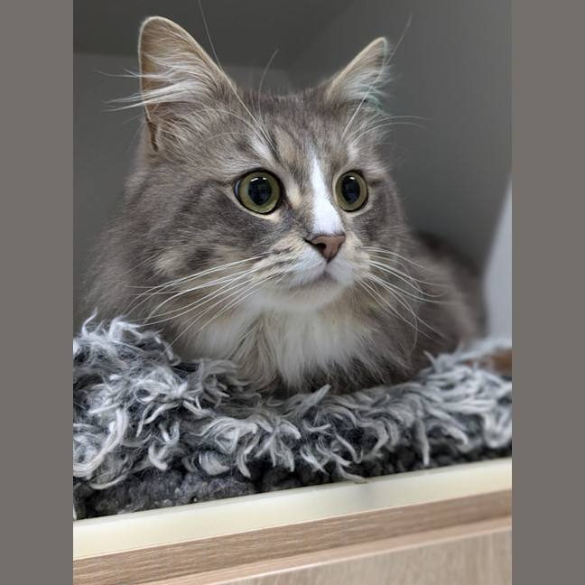 Photo of 🪁 Miles 5361  🪁