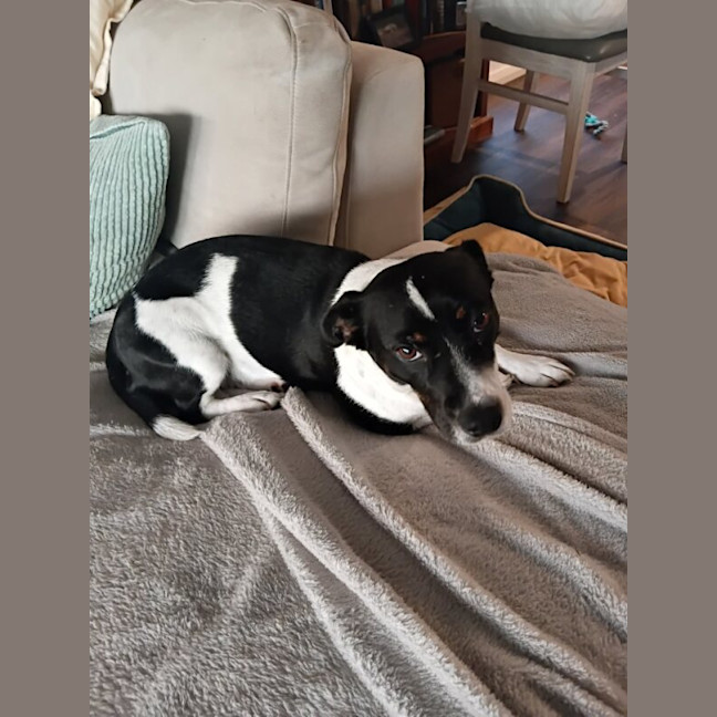 Photo of Maggie