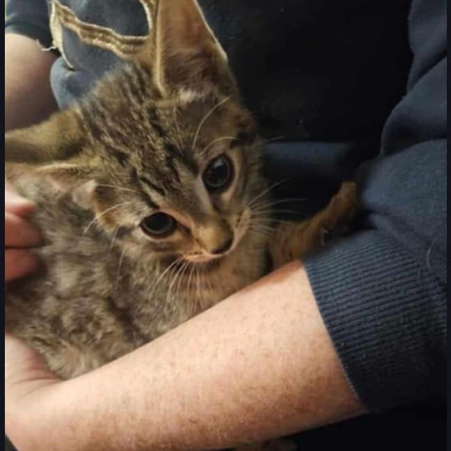 Photo of Jake Meet Me At Petstock Chelsea Store