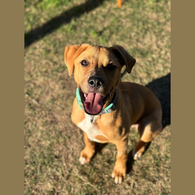 Photo of Butters