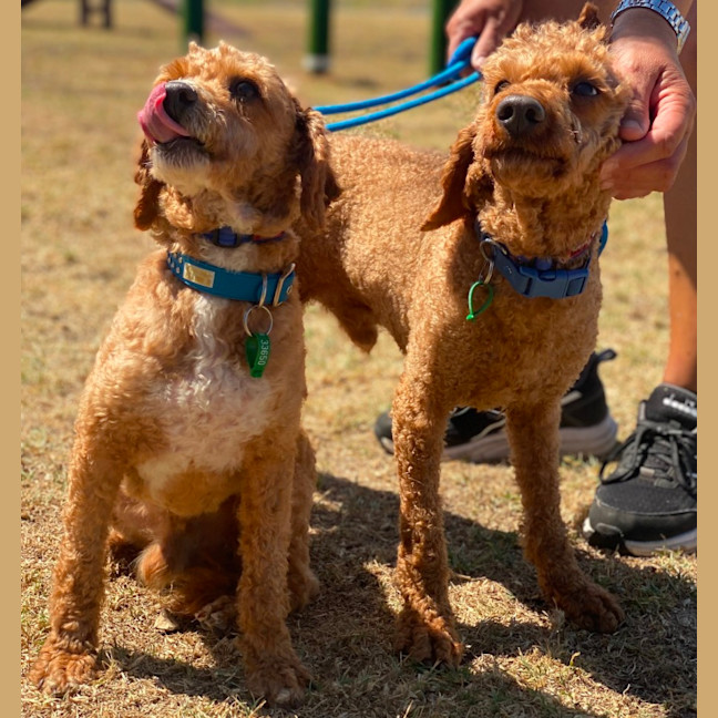 Photo of Penn And Teller 