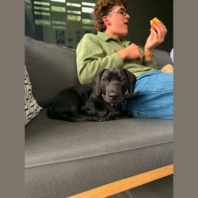 Photo of Maverick 