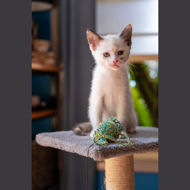 Photo of Charlie