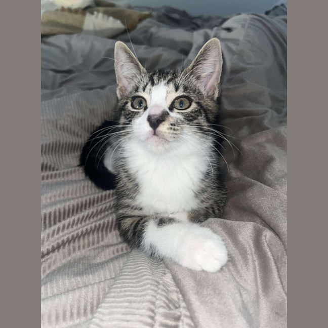 Photo of Vinnie