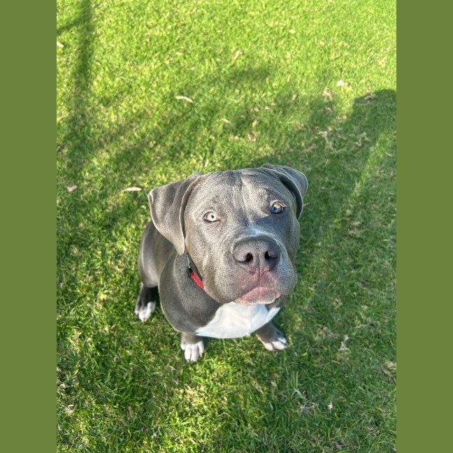 Photo of Phantom
