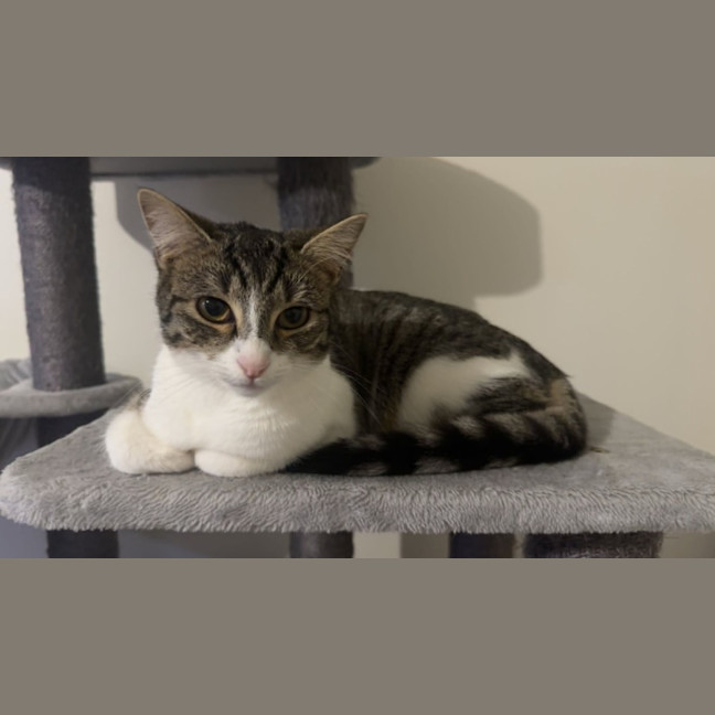 Photo of Monty