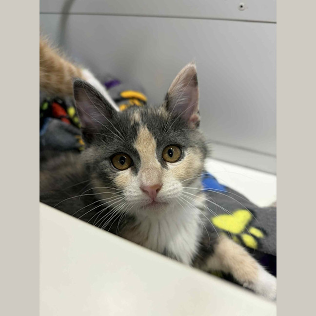 Photo of Martha & Morgan 