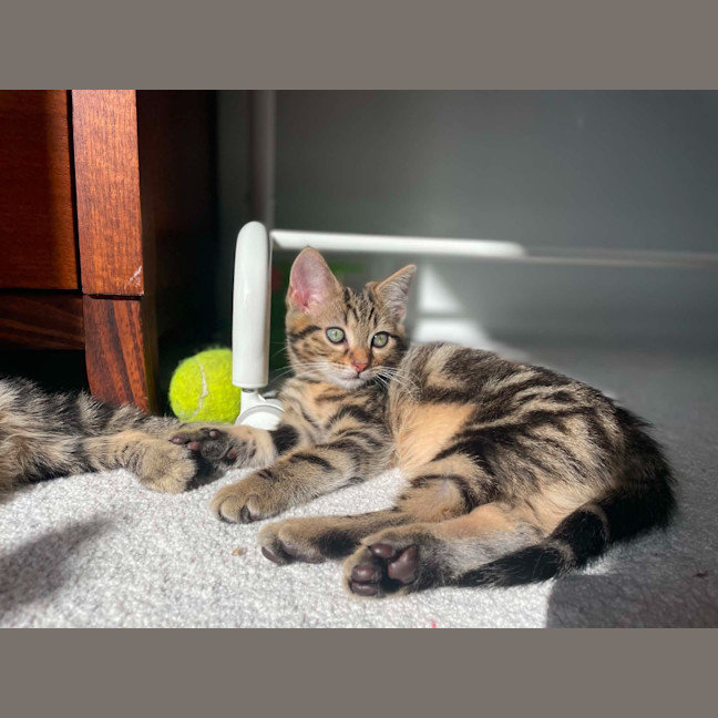 Photo of Picklebarrel Pete
