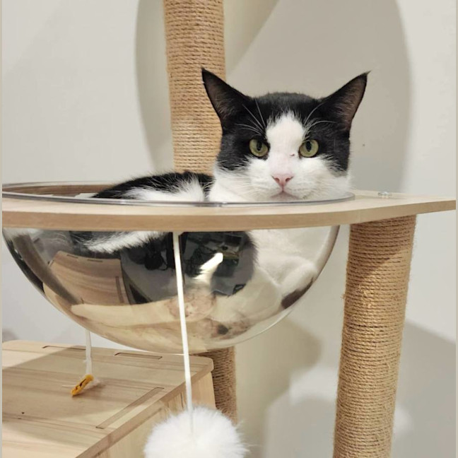 Photo of Oliver