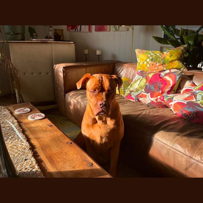 Photo of Tia 
