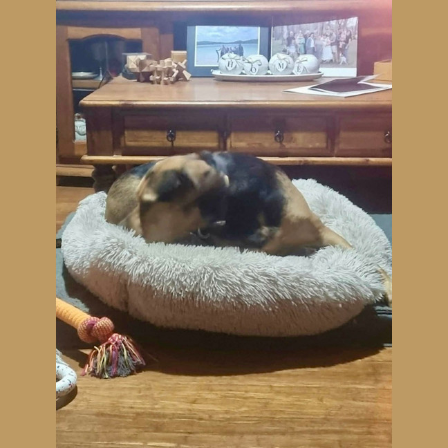 Photo of Missy