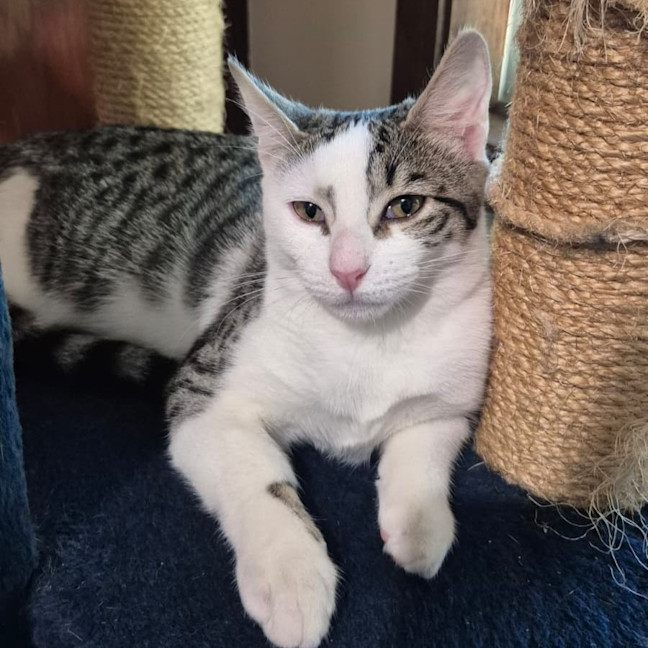 Photo of Coco