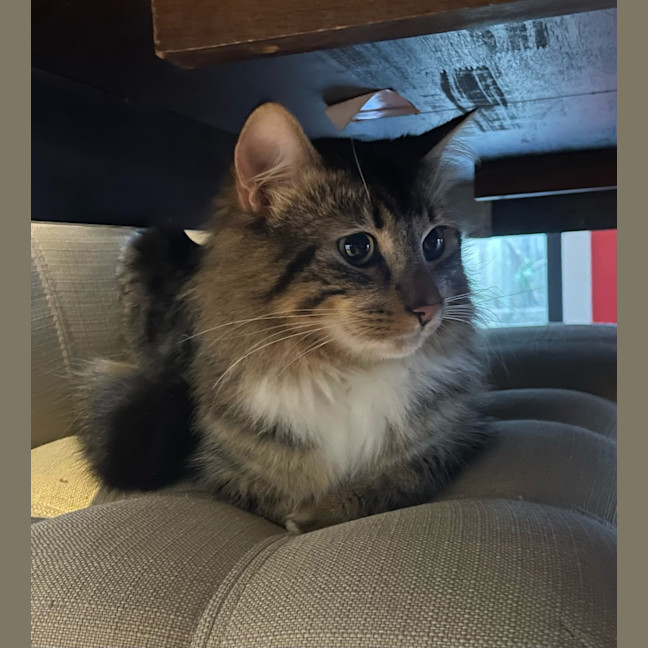 Photo of Percy