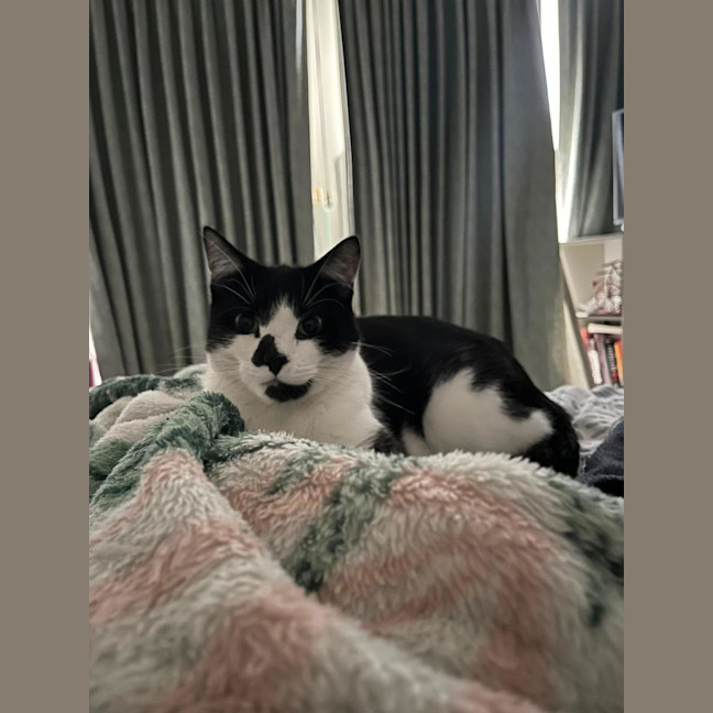 Photo of Apolo