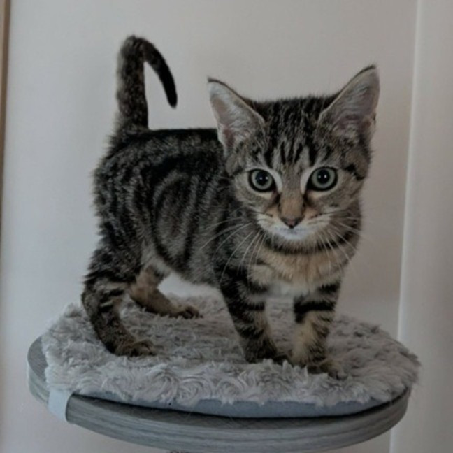 Photo of Tabitha
